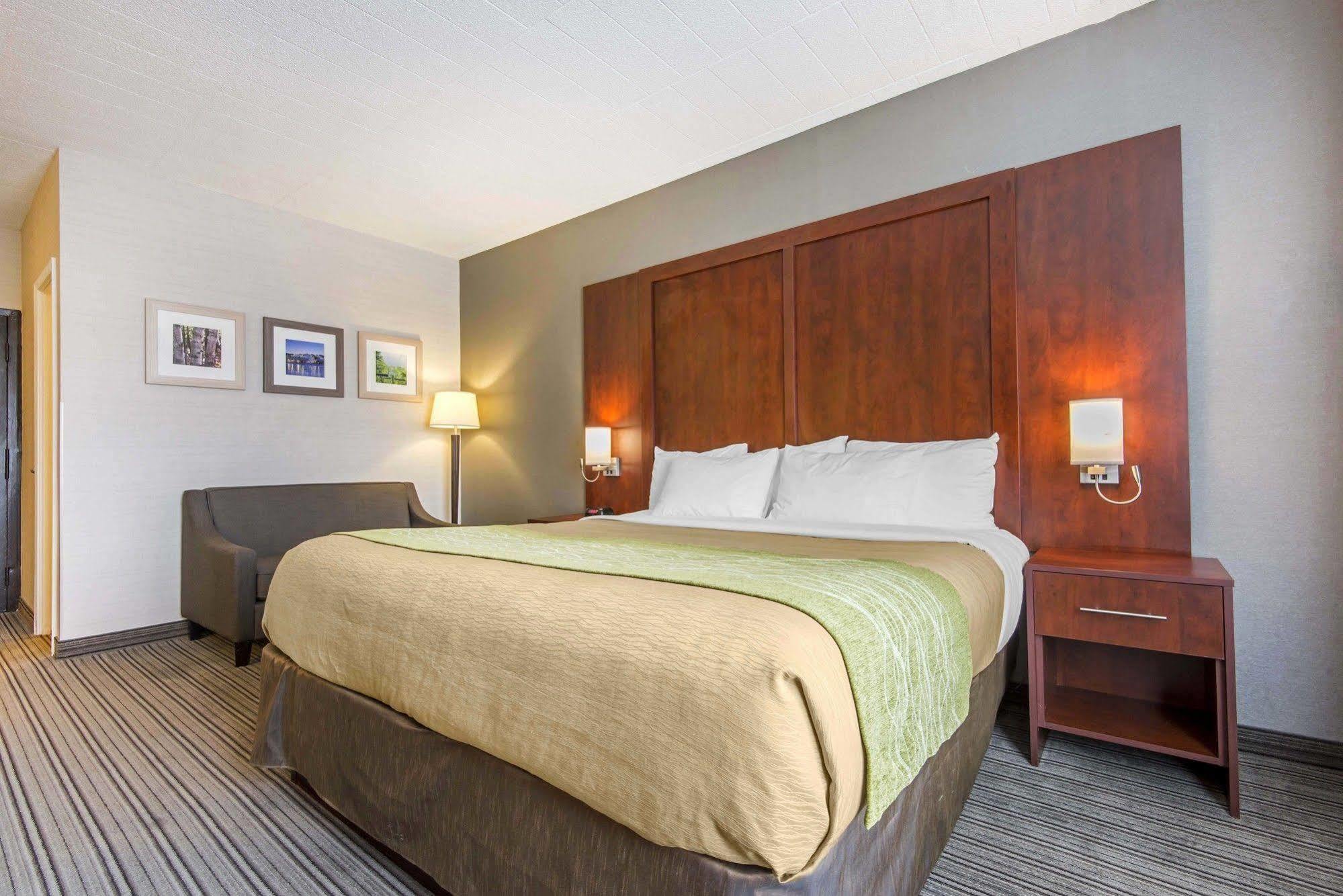 Comfort Inn & Suites Collingwood Zewnętrze zdjęcie